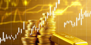 2026 贵金属投资入门：新手能懂的品类 + 平台避坑指南