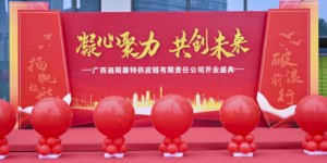 广西迪斯康特供应链有限责任公司开业盛典：开启区域电商新篇章