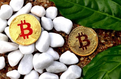 黄金价格走势分析怎么看？黄金价格走势分析：拆解2025行情