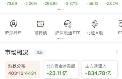 A股三大指数放量大跌 逾4400只股票下跌