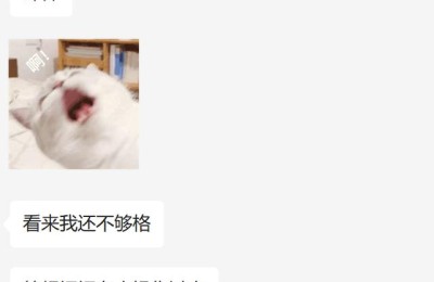 乐歌股份(乐歌股份股吧)