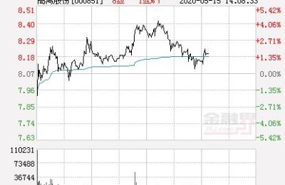 高鸿股份股票(高鸿股份股票股吧)