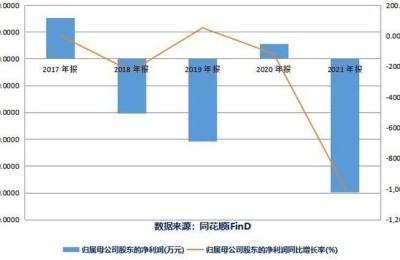 兆新股份前景如何(兆新股份前景如何最新消息)