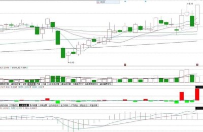 明星电力股票(明星电力股票股吧)