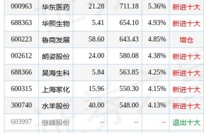 鲁商发展股票()