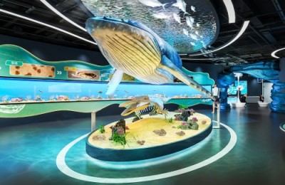 展馆设计施工一体化新路径——盛世嘉华展览，