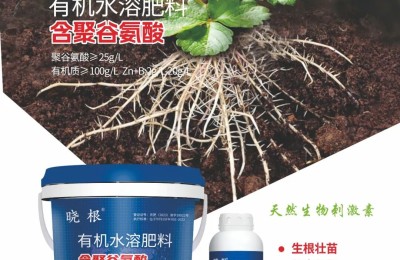 真微生物聚谷氨酸：肥水双保助力土壤增效