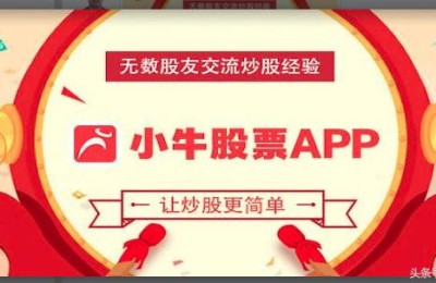 炒股查询(炒股查询公司信息的网站)