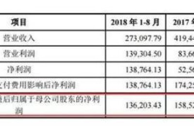 盛大股票(盛大股票代码是多少)