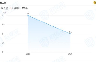 中达股份(中达股份600074)