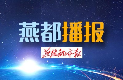 小额股份理财(小额理财公司)
