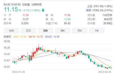 梅安森股票(梅安森股票股吧)