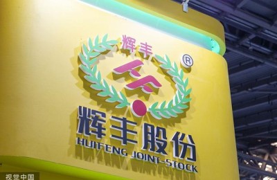 辉丰股份(辉丰股份股吧)