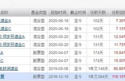 工银互联网加股票(工银互联网加股票基金001409)