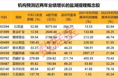 盐湖提锂概念股(盐湖提锂概念股是什么意思)