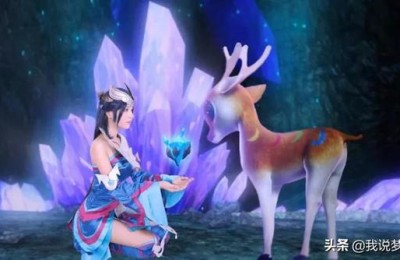 梦幻股票怎么玩(梦幻股市怎么玩)