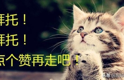 钛白粉概念股(钛白粉概念股有哪些)