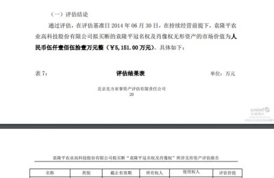 袁隆平农业高科技股份有限公司(湖南袁隆平农业高科技股份有限公司)