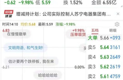 苏宁电器股票行情(苏宁电器股票行情走势)